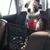 Pet Car Net Petition