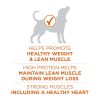 Purina ONE Plus Healthy Weight Dog Food Dry Formula